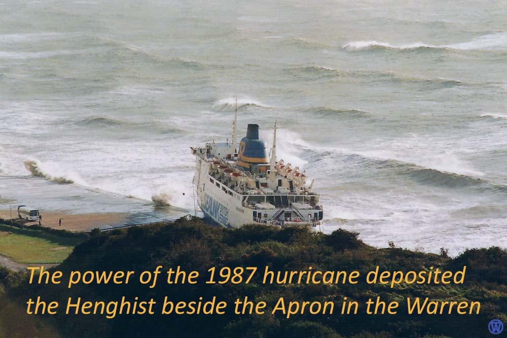 Henghist after 1987 hurricane